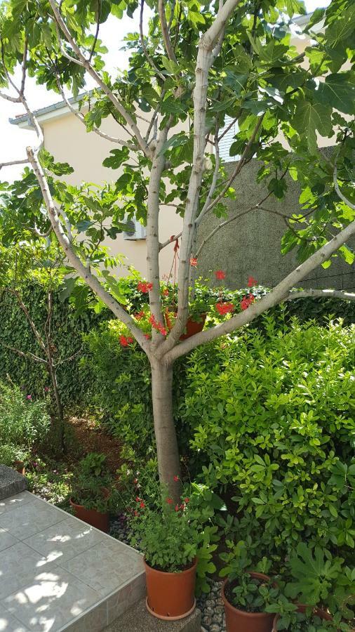 Guest House Dijana Krk Town Exterior photo